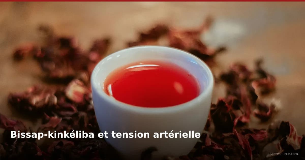 Tasse de bissap rouge entourée de fleurs d'hibiscus séchées, tisane naturelle pour la tension artérielle au Sénégal
