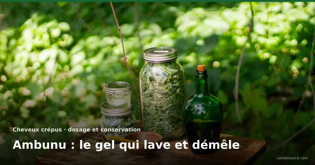 Bocaux de feuilles séchées sur une table en bois en plein air, base du gel d'ambunu pour cheveux crépus